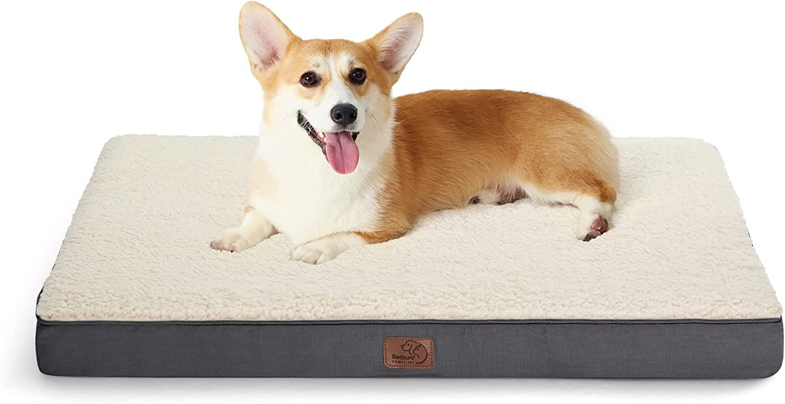 Dog Bed Medium Size Dog - Comfy Flat Puppy Beds with Removable Washable Cover, Orthopedic Egg Crate Foam Pet Mat, Suitable for Pet up to 30 Lbs