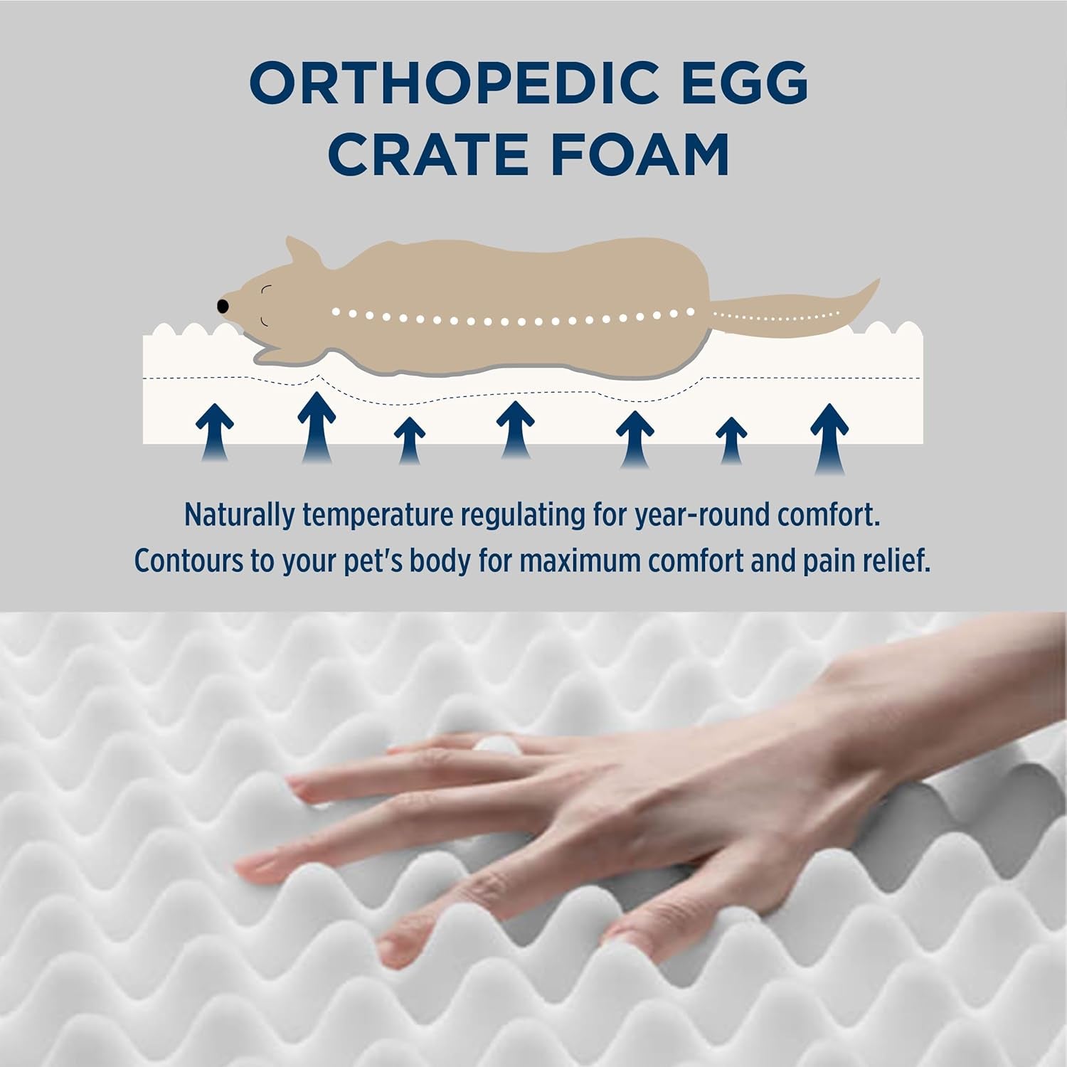 Dog Bed Medium Size Dog - Comfy Flat Puppy Beds with Removable Washable Cover, Orthopedic Egg Crate Foam Pet Mat, Suitable for Pet up to 30 Lbs