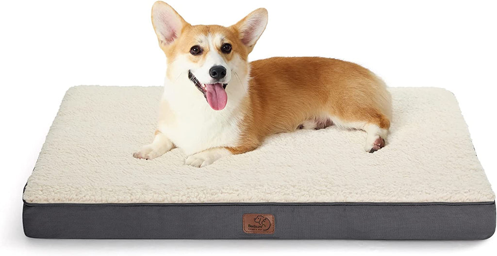 Dog Bed Medium Size Dog - Comfy Flat Puppy Beds with Removable Washable Cover, Orthopedic Egg Crate Foam Pet Mat, Suitable for Pet up to 30 Lbs